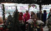 1 December 2017 - Launch event of Bishopwearmouth Co-operative on Chester Road, Sunderland. This wonderful Garden Centre is now open to members of the public!
