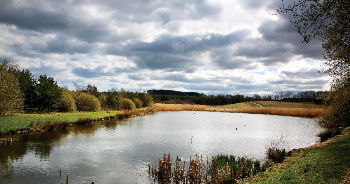 Green flags flying at five Sunderland parks - Sunderland City Council