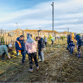 Elemore first tree planting December 2021