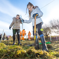 Elemore first tree planting December 2021