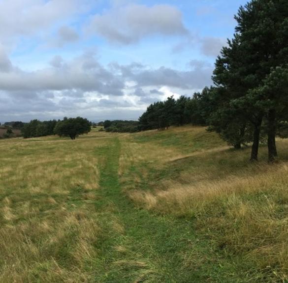 Elemore Country Park