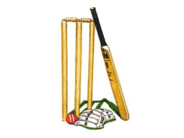 Cricket stumps